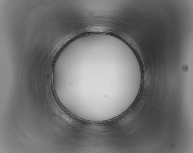 X0000111430529200907271107