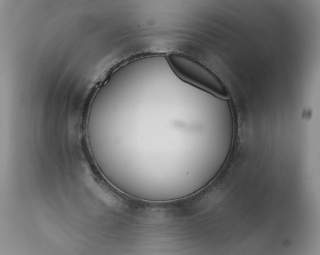 X0000111430530200907271107