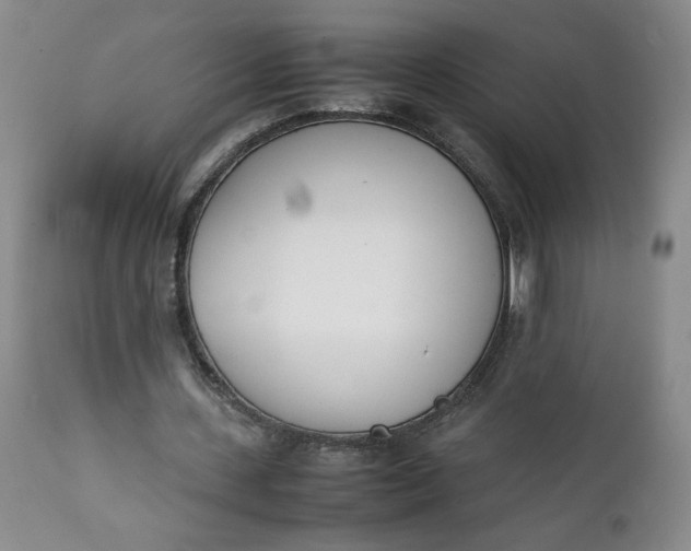 X0000111430531200907271107