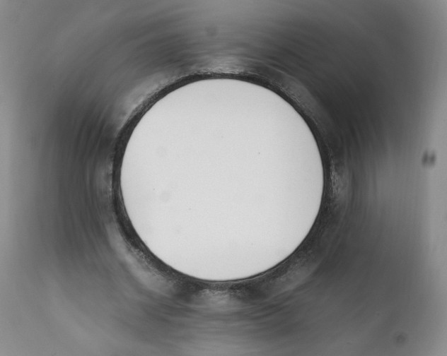 X0000111430534200907271107