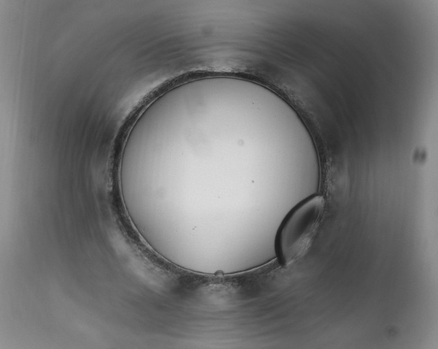 X0000111430536200907271107