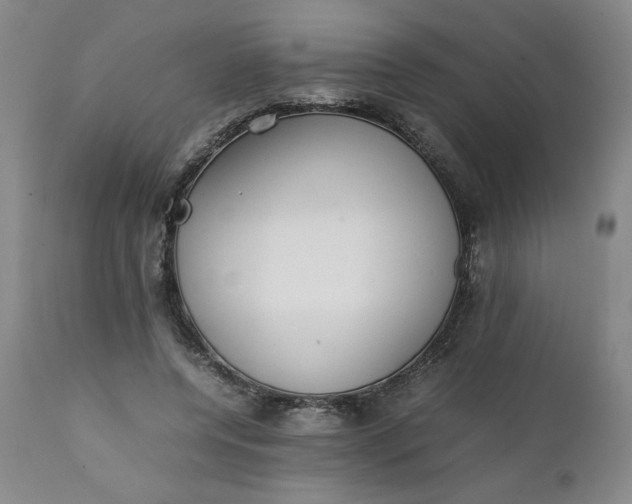 X0000111430544200907271108