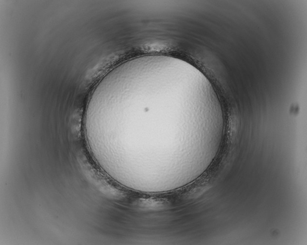 X0000111430545200907271108