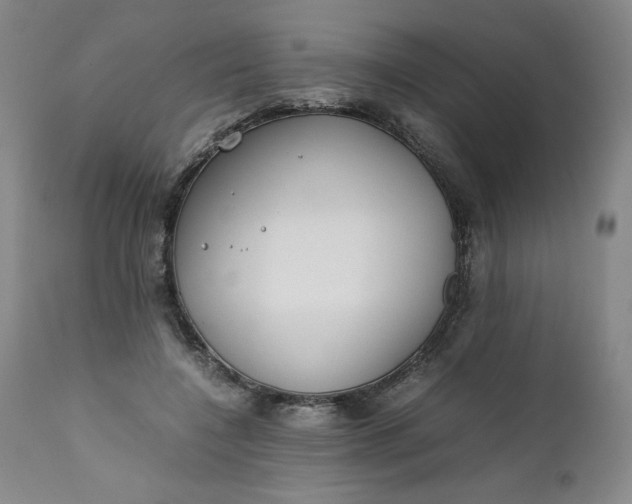 X0000111430548200907271108