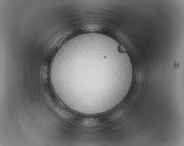 X0000111430549200907271108