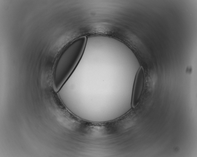 X0000111430552200907271108