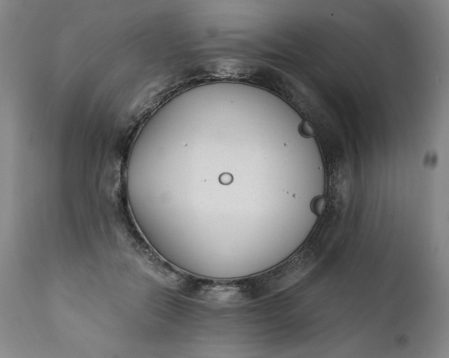 X0000111430554200907271108