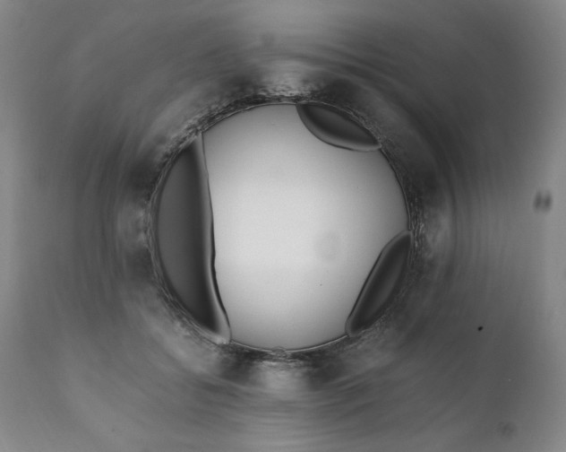 X0000111430556200907271108