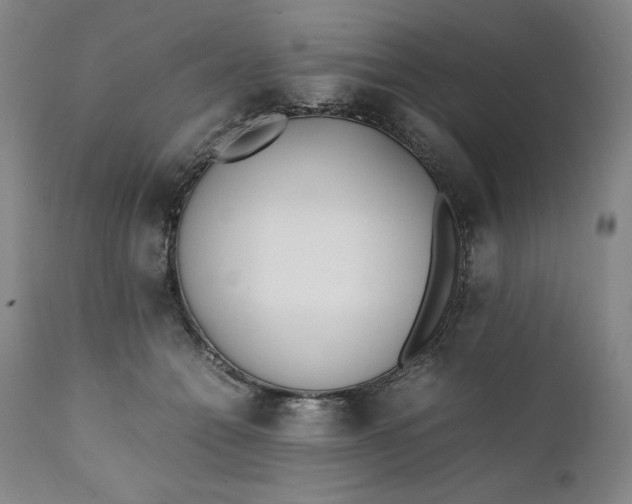 X0000111430558200907271108