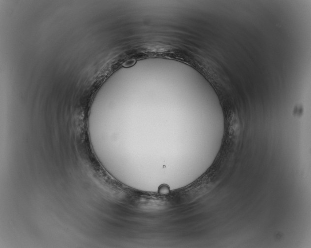 X0000111430559200907271108