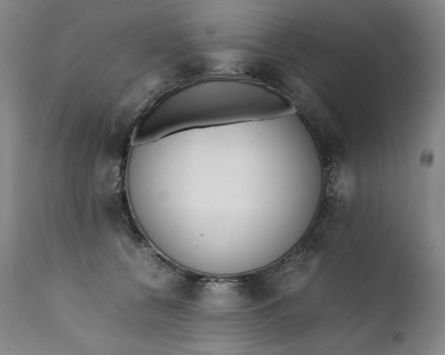 X0000111430560200907271108