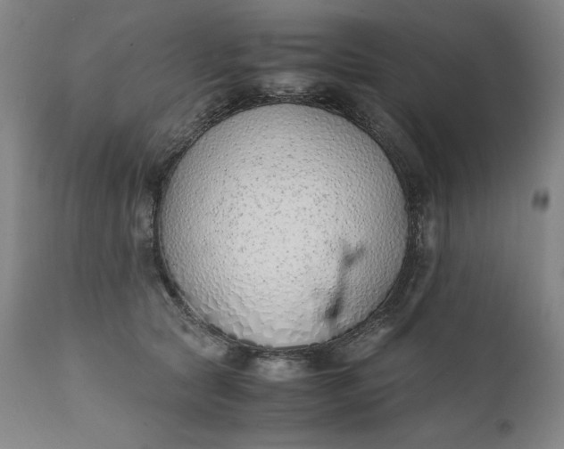 X0000111430561200907271108