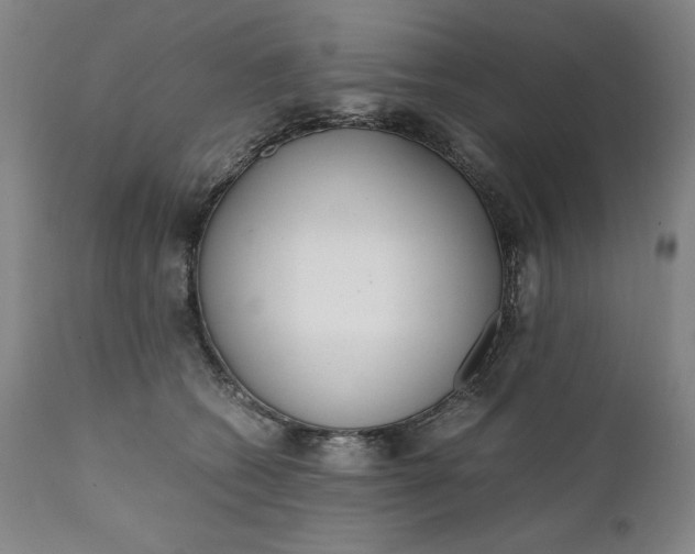 X0000111430562200907271108