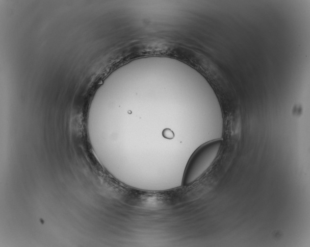 X0000111430564200907271108