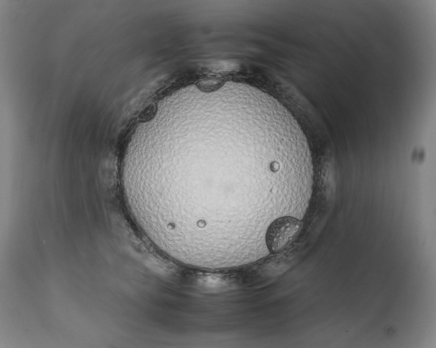 X0000111430565200907271108