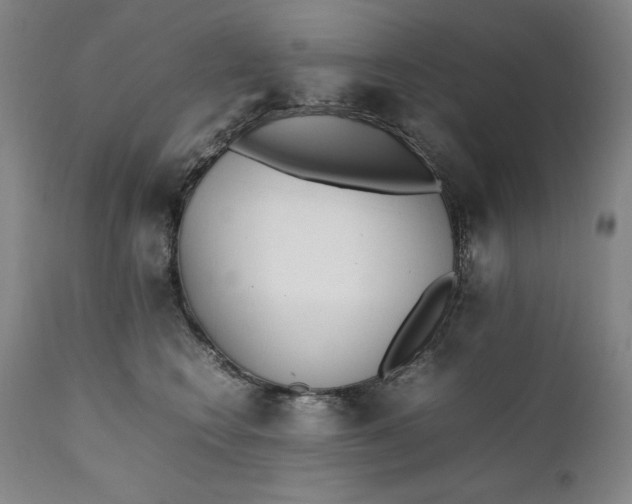 X0000111430566200907271108