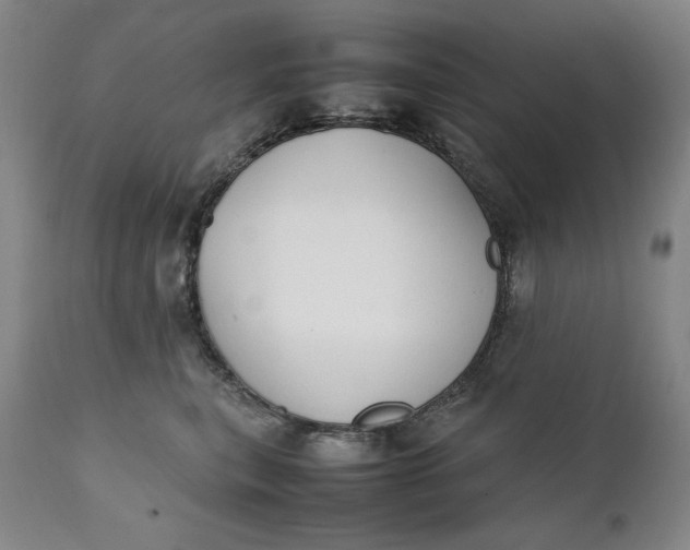 X0000111430567200907271108