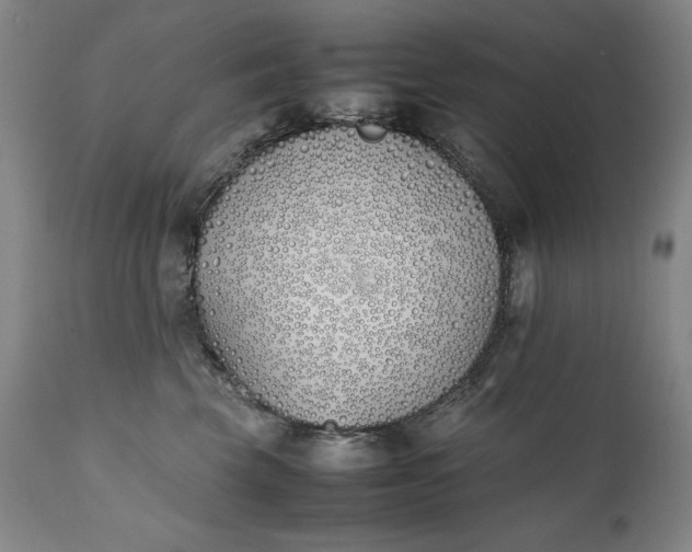 X0000111430569200907271108