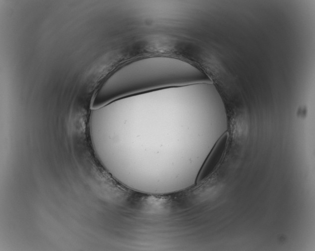 X0000111430570200907271108