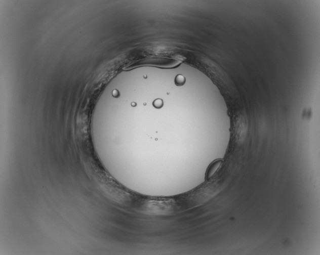 X0000111430571200907271108