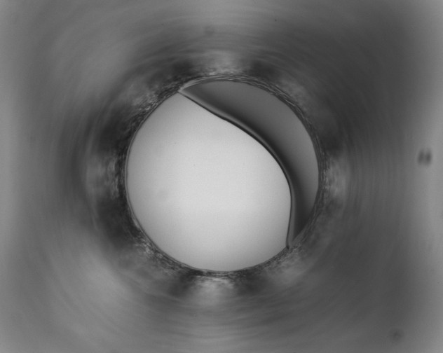 X0000111430572200907271108