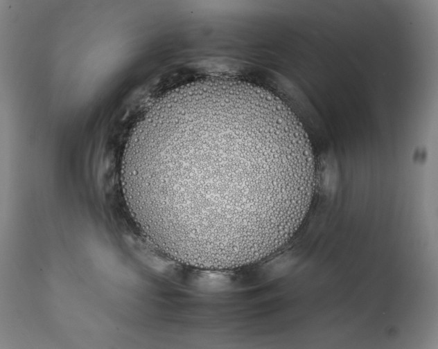 X0000111430573200907271108