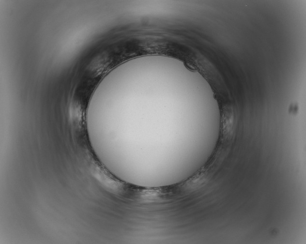 X0000111430574200907271108