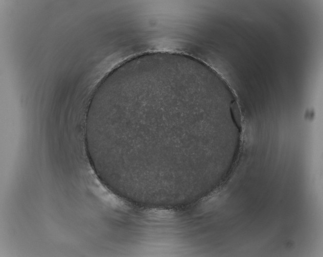 X0000111430577200907271107