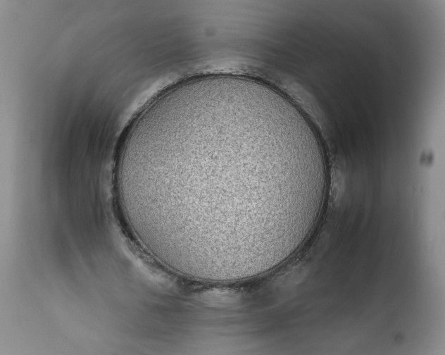 X0000111430578200907271107