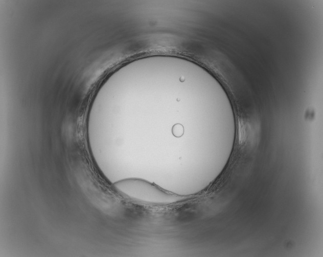 X0000111430579200907271107