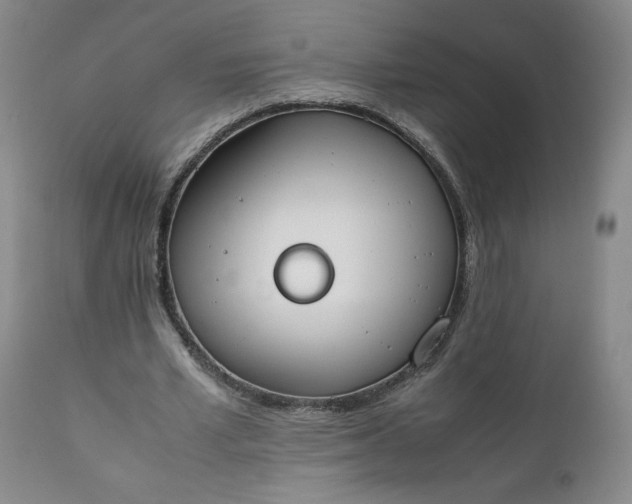 X0000111430581200907271107