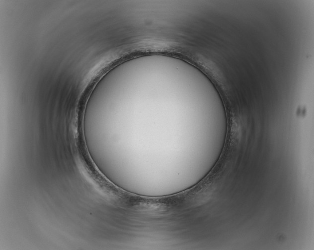 X0000111430582200907271107