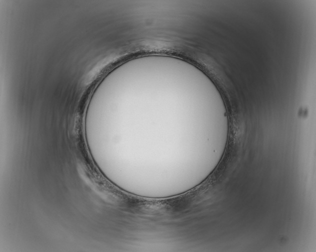 X0000111430583200907271107