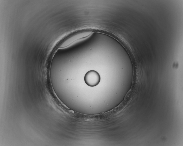 X0000111430584200907271107