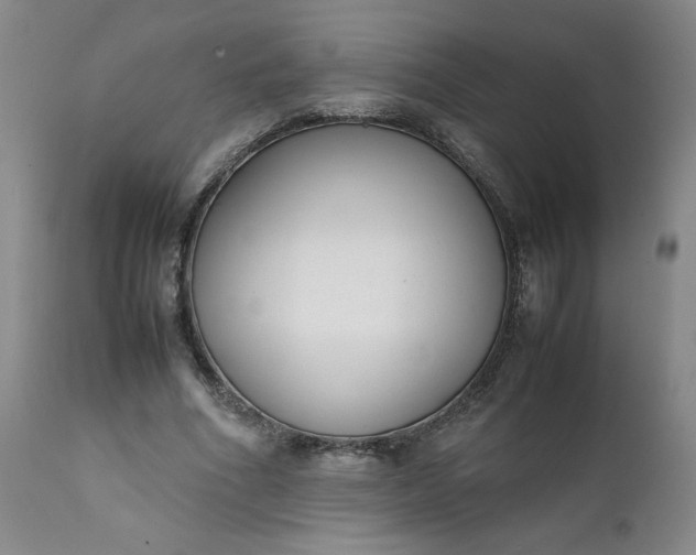 X0000111430586200907271107