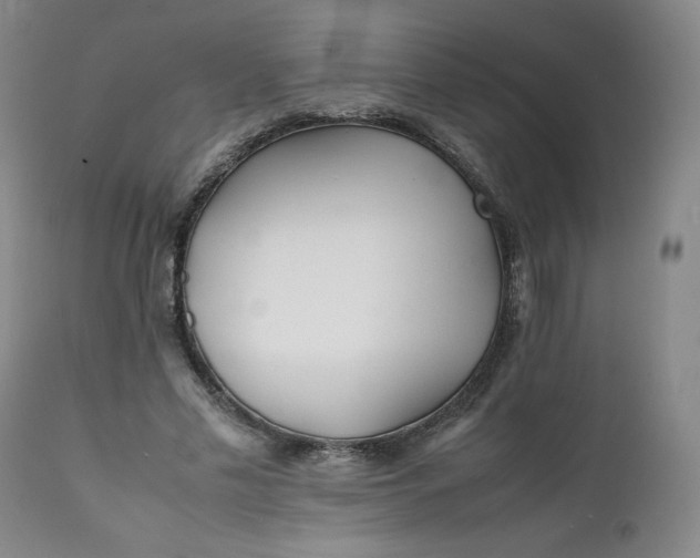 X0000111430589200907271107