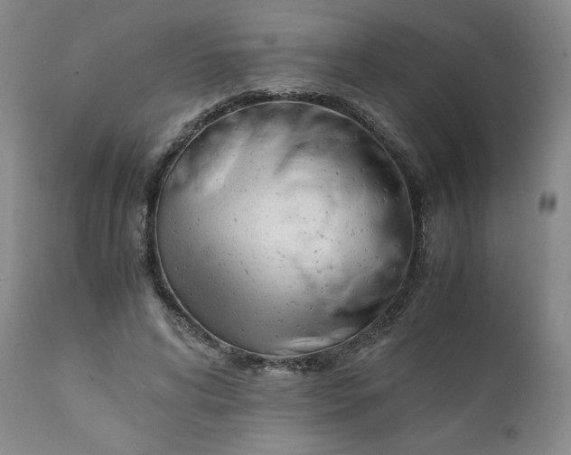 X0000111430592200907271107