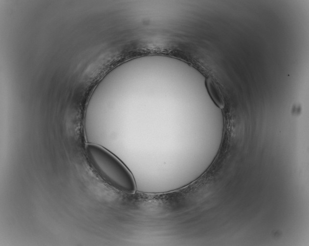 X0000111430593200907271107