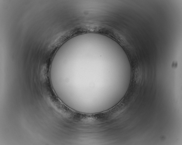 X0000111430594200907271107