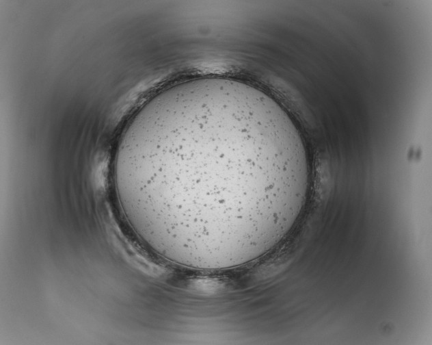 X0000111430596200907271107