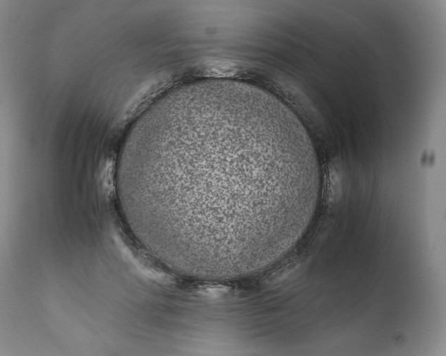 X0000111430598200907271107