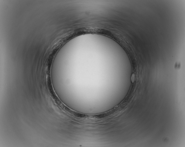 X0000111430599200907271107