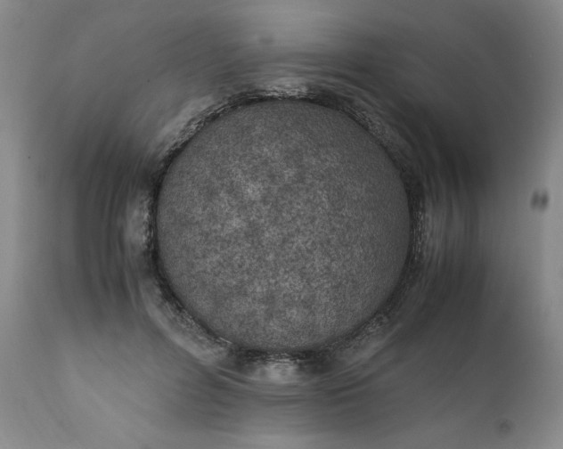 X0000111430600200907271107