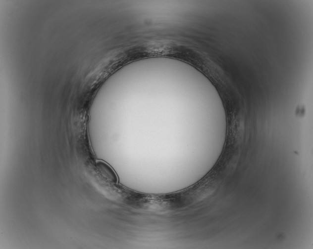 X0000111430601200907271107