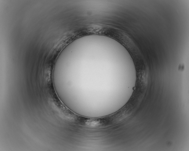 X0000111430602200907271107