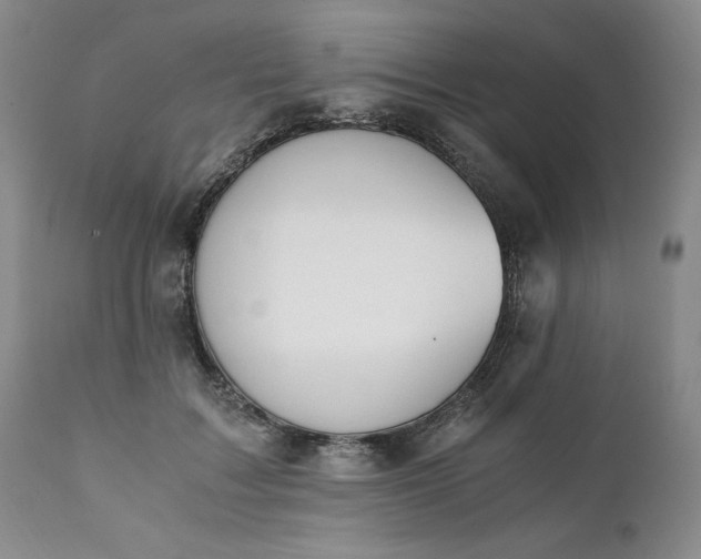 X0000111430603200907271107