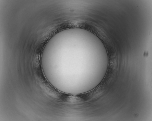 X0000111430605200907271107