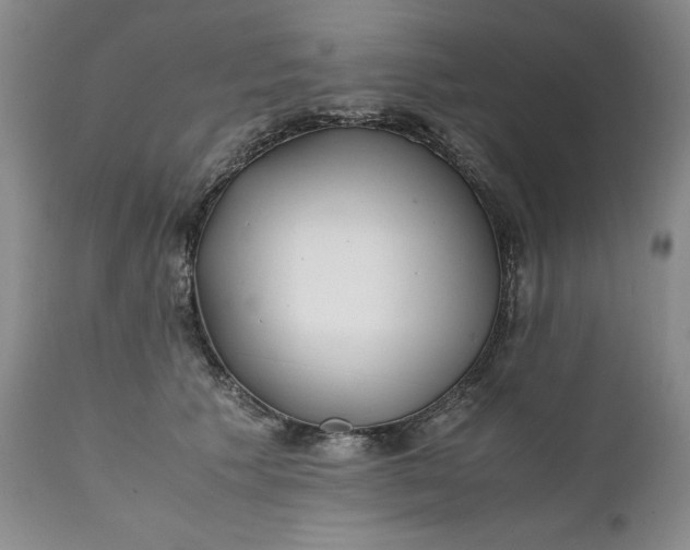 X0000111430609200907271107