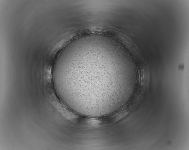 X0000111430610200907271107