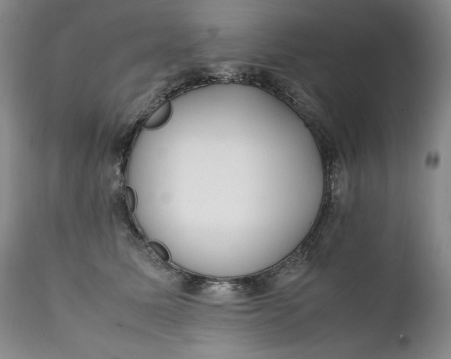 X0000111430611200907271107